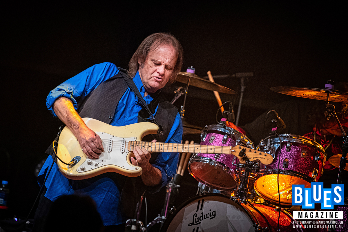 Walter Trout and Band