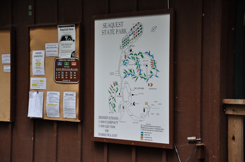 Seaquest State Park Campground & Silver Lake ~ Washington