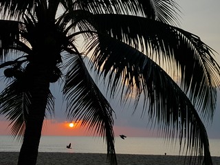 Ca Am beach sunrise 2019-10-18 2
