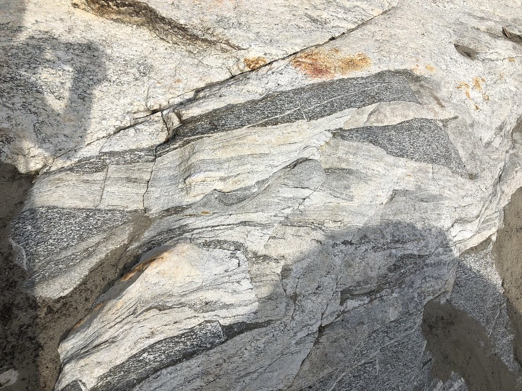 Migmatic Orthogneiss