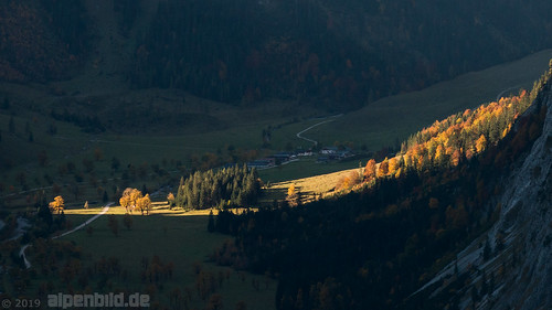 d800 d800e nikond800e nikon alpen alpenbildde alpin alpine alps austria autumn autumnal berg berge contrast contrasts eng fall forest fullframe fx herbst herbstlich karwendel kontrast kontraste landscape landschaft morgen morgens morning mountain mountains natur nature risstal tirol tyrol vollformat wald wood woods österreich 全画幅数码单反相机 大自然 奧地利 尼康 山 山区 景观 森林 秋 蒂罗尔州 阿尔卑斯山 雾 sunrise sonnenaufgang