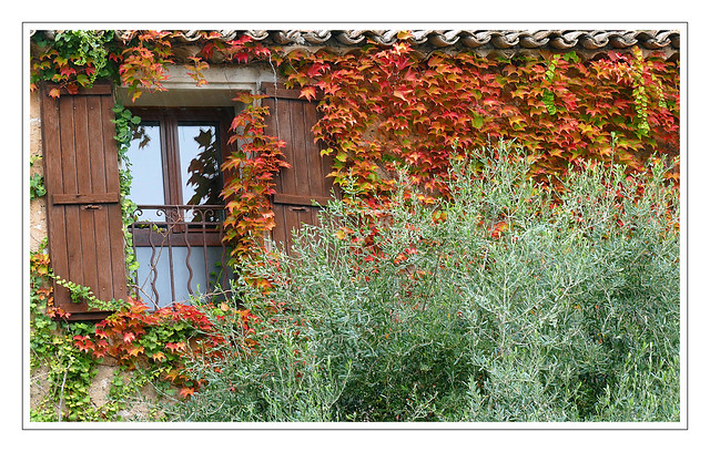 Fenêtre sur l'automne -  Window on autumn