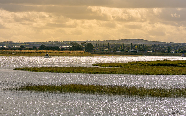 Faversham creek