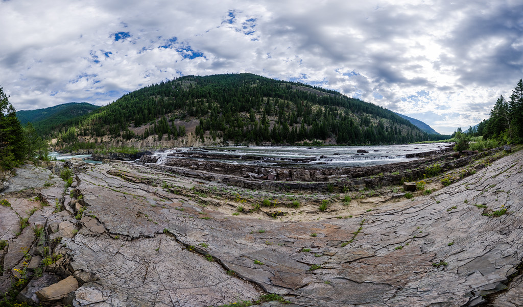 Bighorn Trail #42