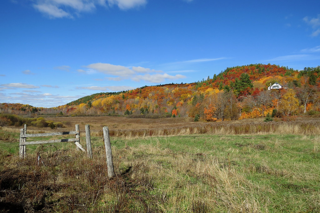 Fall colors in Farrellton, Quebec | Fall colors in Farrellto… | Flickr