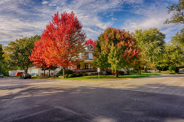 Autumn Color on Display in Morris