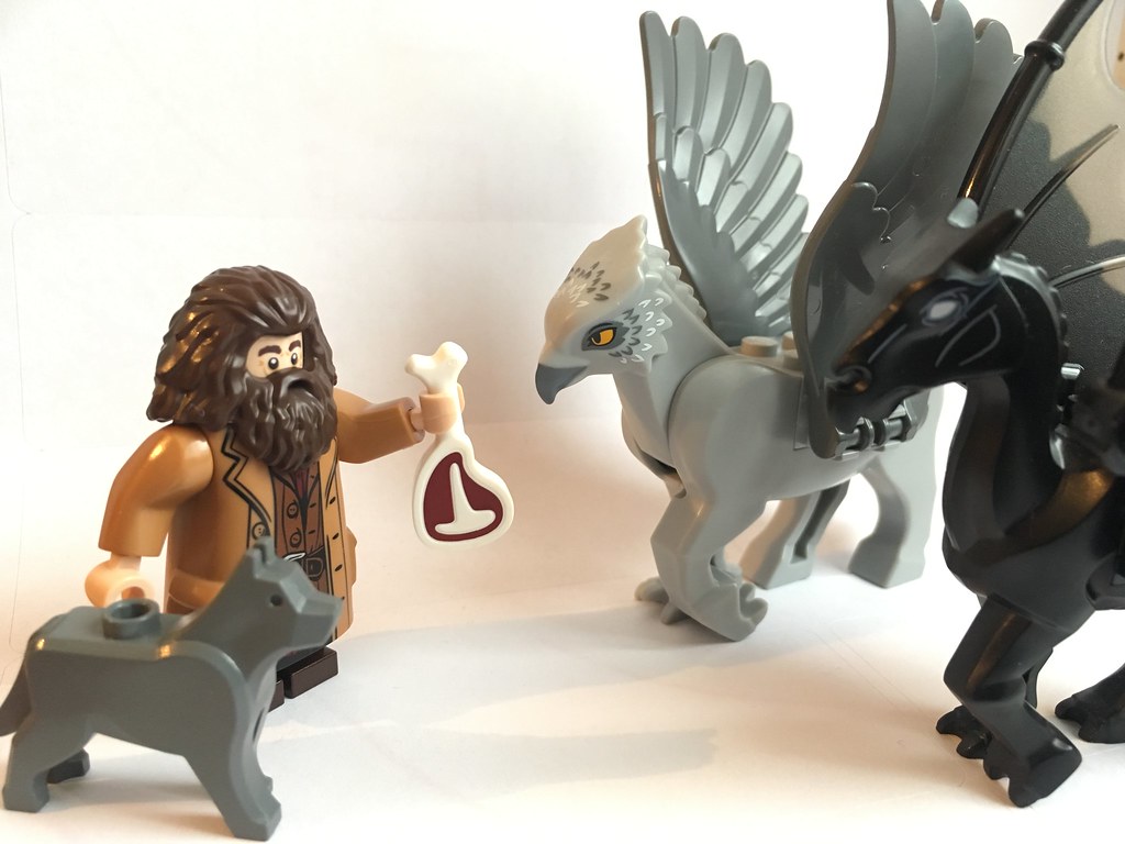 LEGO Harry Potter: Hagrid’s Pets