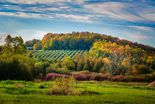 eastofleland leelanau autumn landscape suttonsbay michigan unitedstatesofamerica