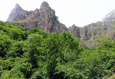 Fuente Dé y Teleférico. El Cable-Puertos de Aliva-Fuente Dé (a pie). Mogrovejo. - Viajando por Cantabria. (31)