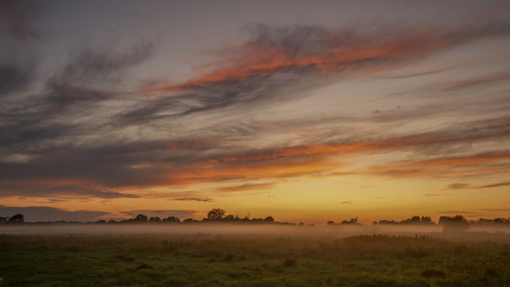 Marsh Land Sunset Mist
