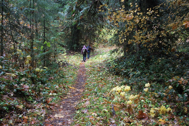 Autumn was in full song on the North Umpqua Trail