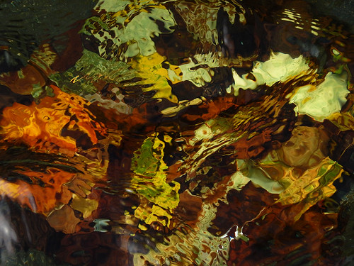 Fallen leaves in bright autumn colours under water