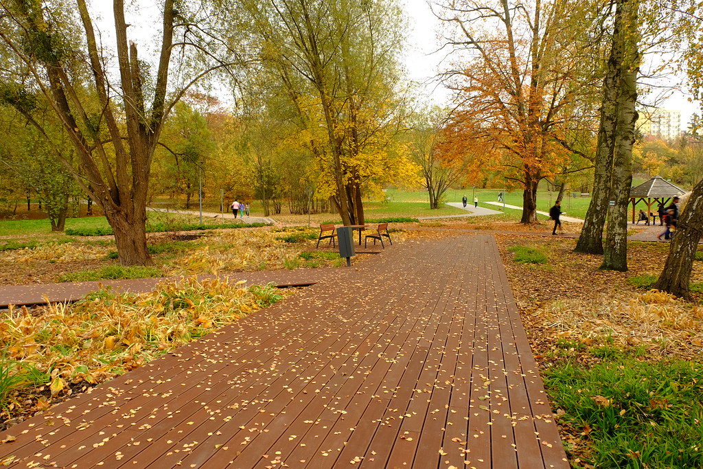 Autumn colors  in Central park , City of Olsztyn  ( Poland , 2019   )