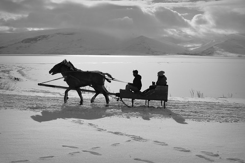 snow winter places blackandwhite horse horses animal animals people culture travel landscape landscapes