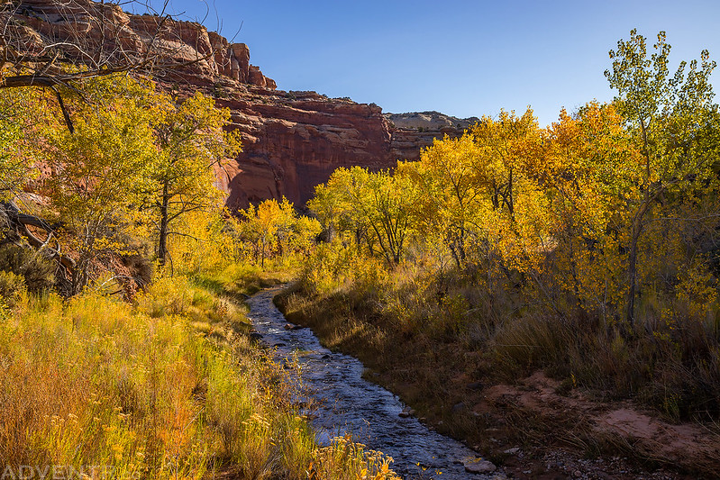 Fall Along Pleasant Creek