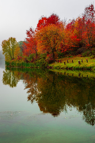 water autumn color fall reflection reflections leaves trees nature landscape
