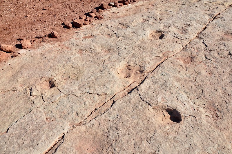 Willow Springs Road Dinosaur Tracks ~ Moab