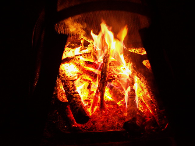 291/365 Backyard Fireplace