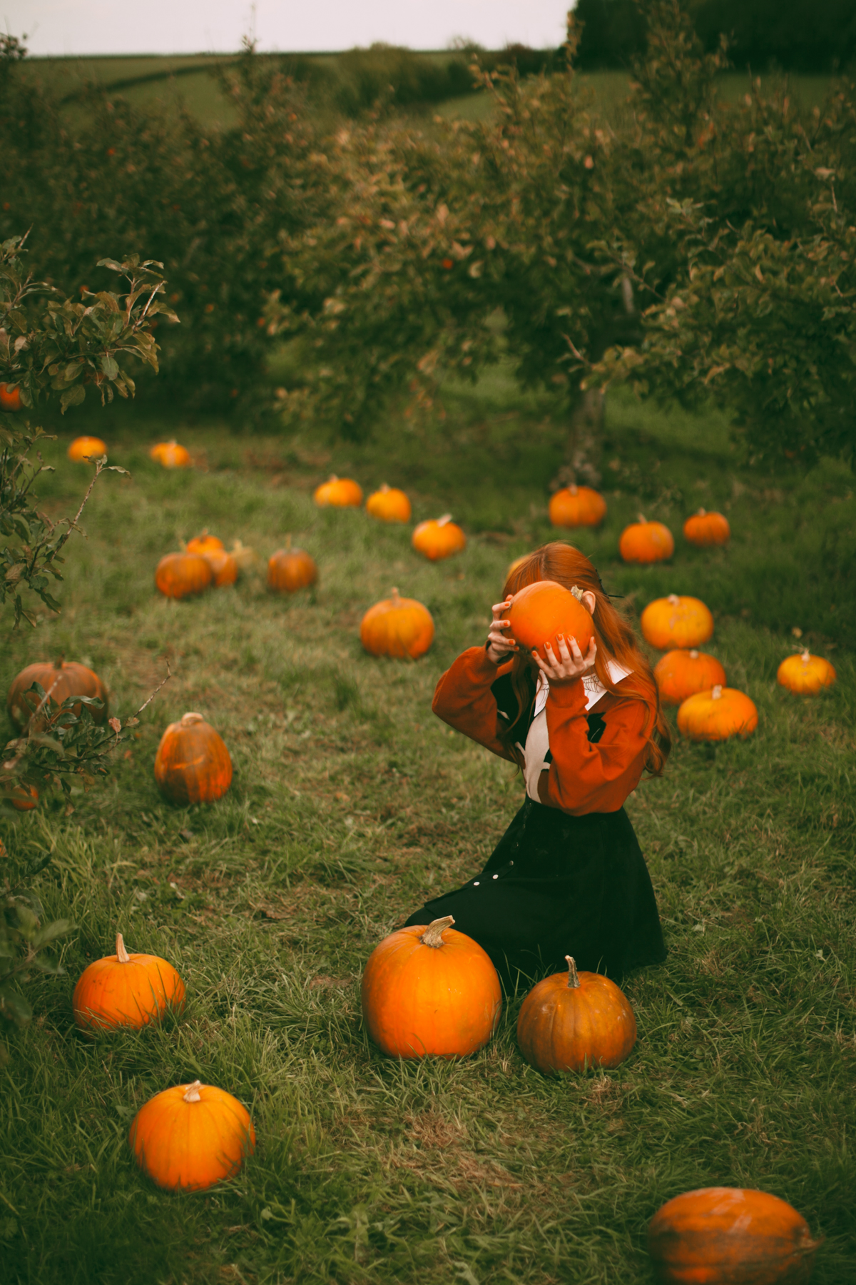 pumpkins-31