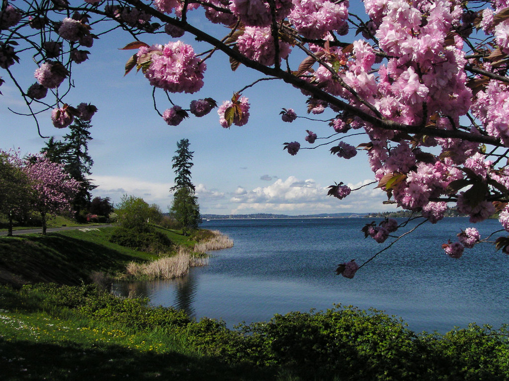 Spring Theme Wa Springtime on Lake Washington | Paul O'Connell | Flickr
