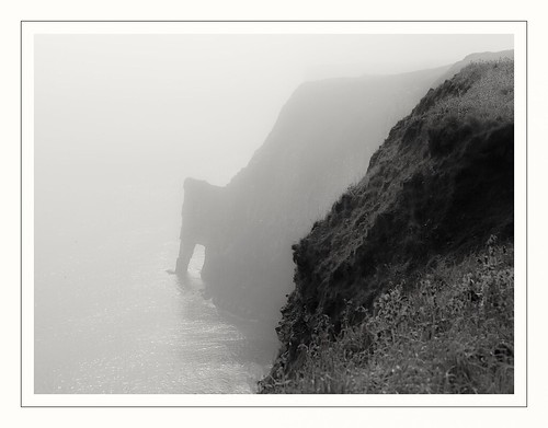 england unitedkingdom bridlington ocean sea bw mist birds fog coast moody cliffs coastal rspb bempton canon eos 6dmkii