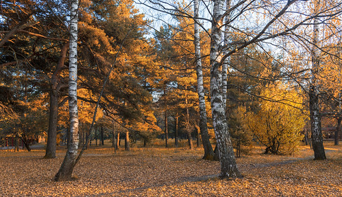природа nature пейзаж landscape осень autumn dmilokt