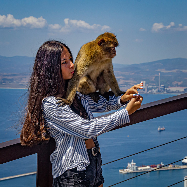 Gibraltar - posing with the monkeys