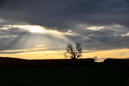 nikon d3300 sigma contemporary 18200dcoshsmc paysage landscape ciel cloud sky nature nuage levéedesoleil sunrise arbre tree