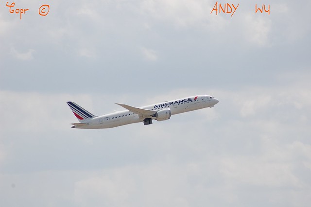 Boeing 787-9 Air France (08/02/2019)