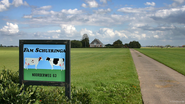 Groningen: Noordhorn dairy farm