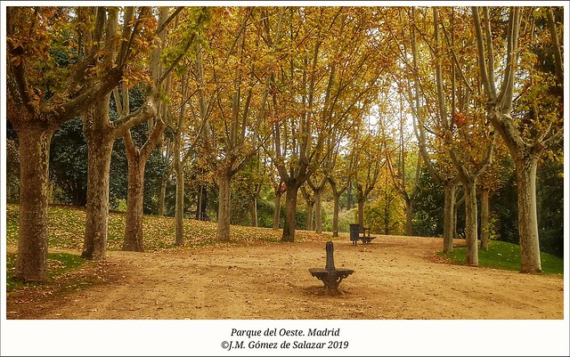 Paseo otoñal. Parque del Oeste. Madrid / Autumn walk. West Park. Madrid (Spain)