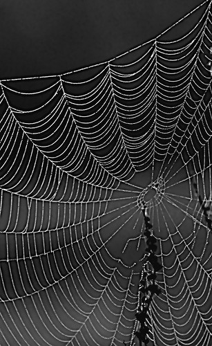 Web highlights | by ianbartlett