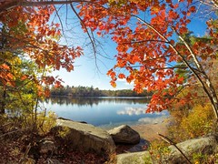 Sir Sandford Fleming Park - Frog Pond