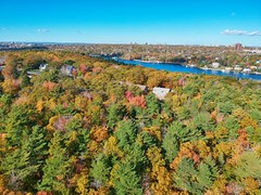Sir Sandford Fleming Park - Frog Pond