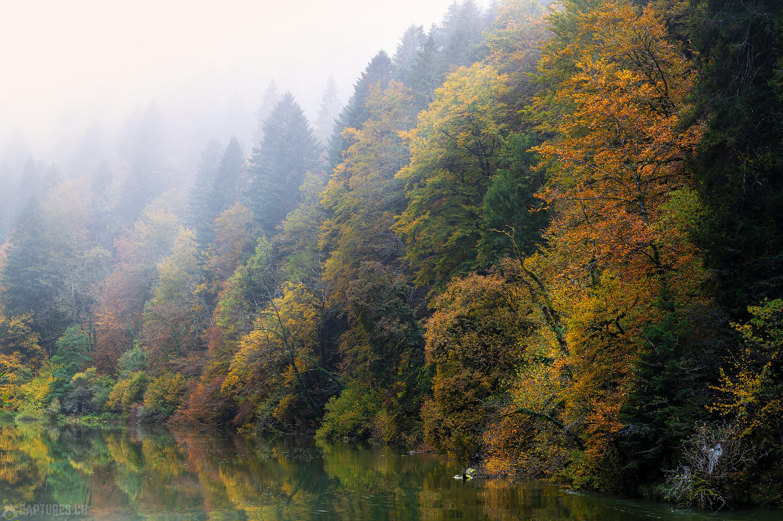 Fog in the colored forest - Doubs