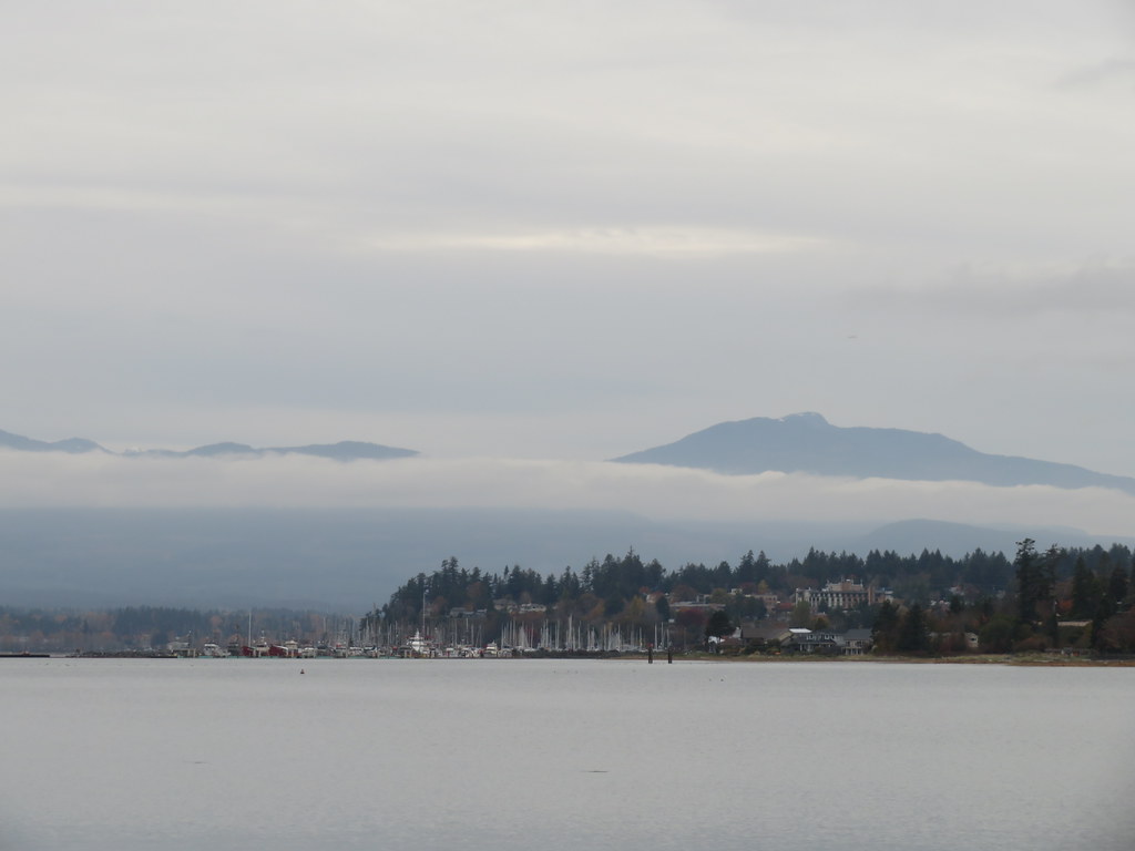 Foggy Day in the Comox Valley