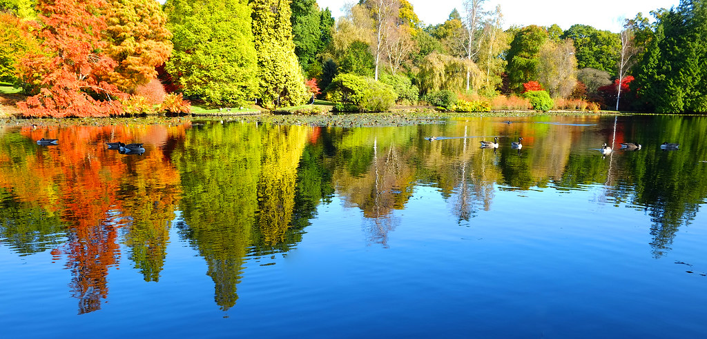 Lakes @ Sheffield Park | Sheffield Park and Garden..East Sus… | Flickr