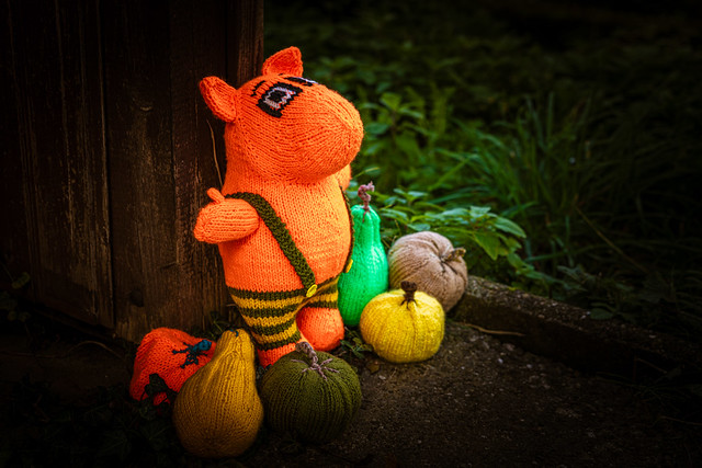 Self-Knit Moomin - The King of the Pumpkin Patch