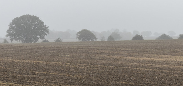 Duton Hill in the mist
