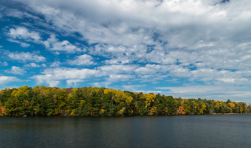 hdr hardydampond michigan muskegonriver nikon nikond5300 outdoor autumn clouds fall foliage geotagged lake outside sky tree trees water
