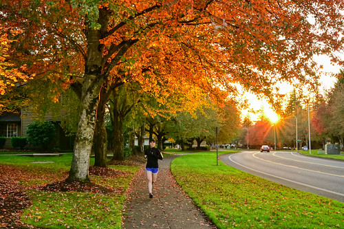 Fall of Oregon | by rayhungg