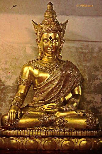 watphrathathariphunchai วัดพระธาตุหริภุญชัย wat วัด temple ประเทศไทย thailand เมืองไทย thamboon ทำบุญ makemerit ลำพูน lamphun พุทธกาลนิชน buddhist