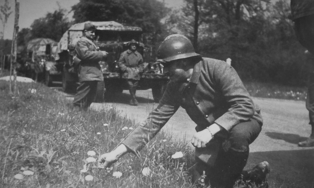 A French Army Lt picking flowers on the side of the road 1940.