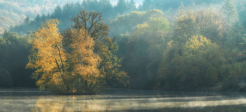 büdingen lake yellow green foggy morning autumn leaves water fog sunrise parchmankid sony a6500 jerry burchfield greatphotographers landscape ilce6500 thiergartenweiher ambiance ambience mood ambient ambiant moody atmosphere proudliberal liberal freedom democracy ethereal dreamlike dreamy