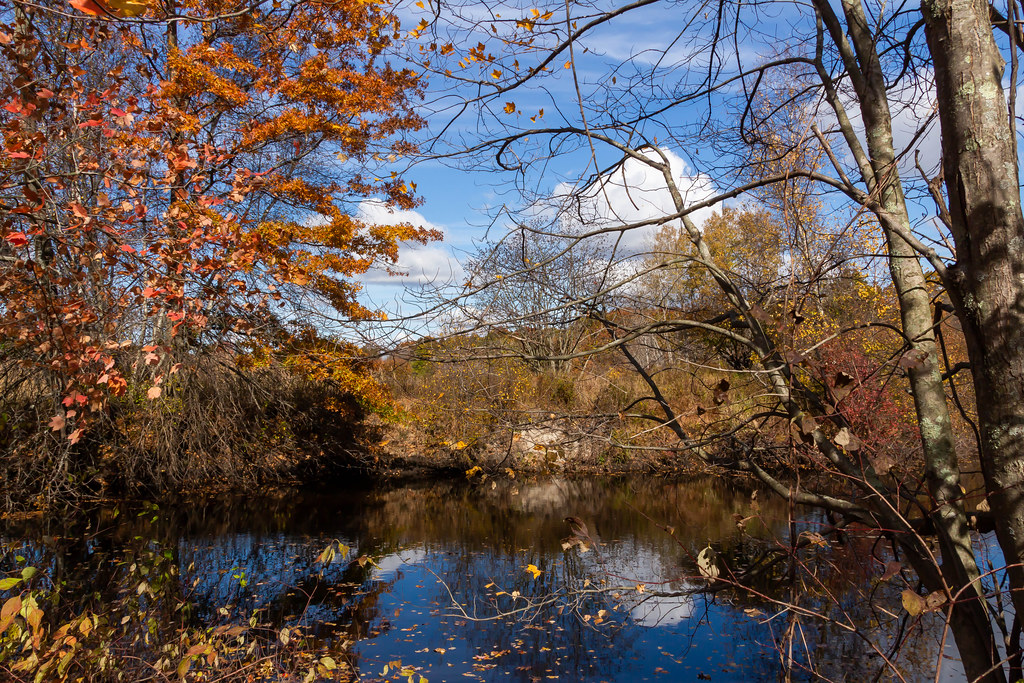 Fall 2019, Neponset River Reservation