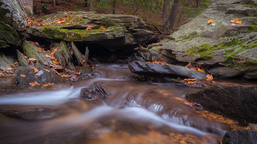 flickr photography outside outdoors optoutside autumn october rainyday rain weather fall leaves color rockville maryland croydoncreek naturecenter hiking wilderness park creek stream water river stones boulder rocks sony alpha a7rii ilce7rm2 sel24f14gm bealpha sonyshooter landscapephotography landscape lens wideangle 24mm longexposure hoya ndfilter polarizer