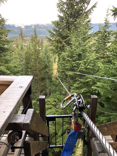 Ziptrek Ecotours | Whistler Mountain, British Columbia