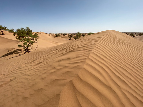desert morocco geography dunes