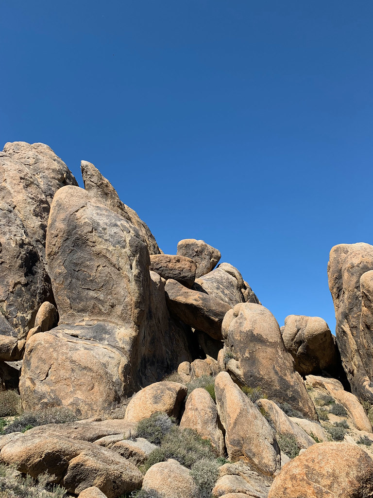 The Poodle Wall