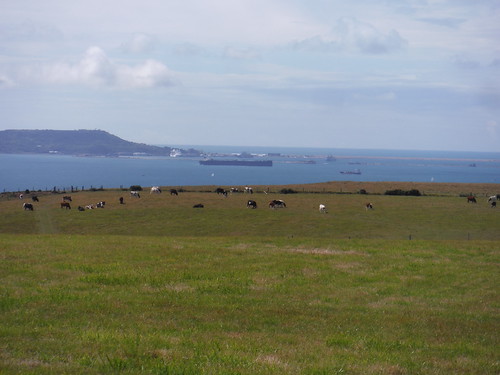 Shipping by Isle of Portland, from ridge above Scratchy Bottom SWC Walk 346 - Wool Circular (via The Warren and Lulworth Cove and Castle)